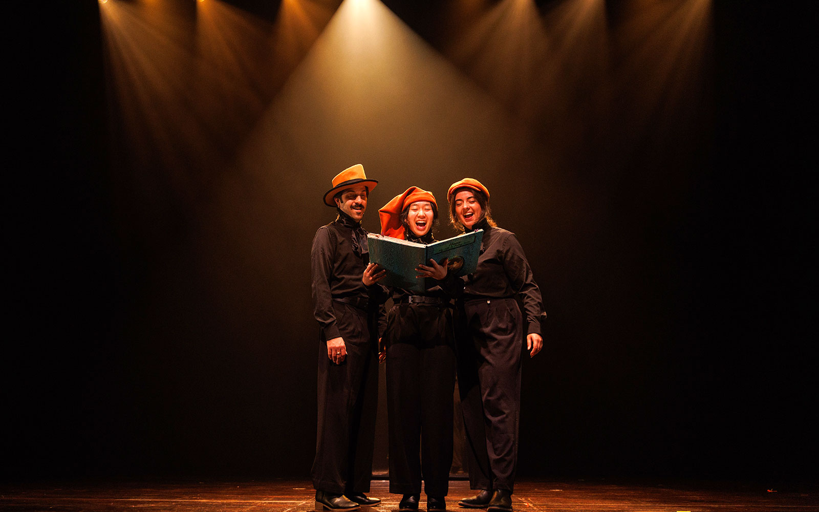 HANS show photo 1